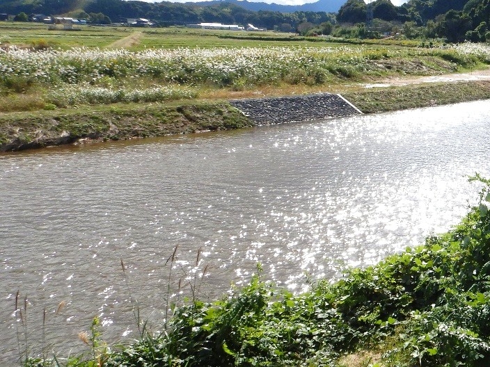竹野川広域河川改修(経対・防安)業務委託
